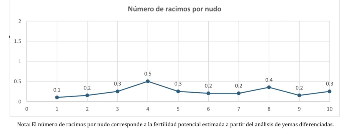 Gráfico de número de racimos por nudo
